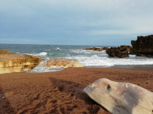 Florencia loves the ocean